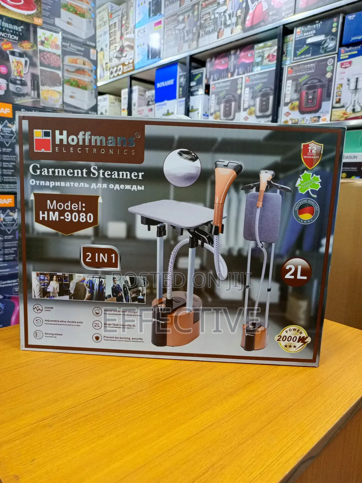 Garment Steamer.