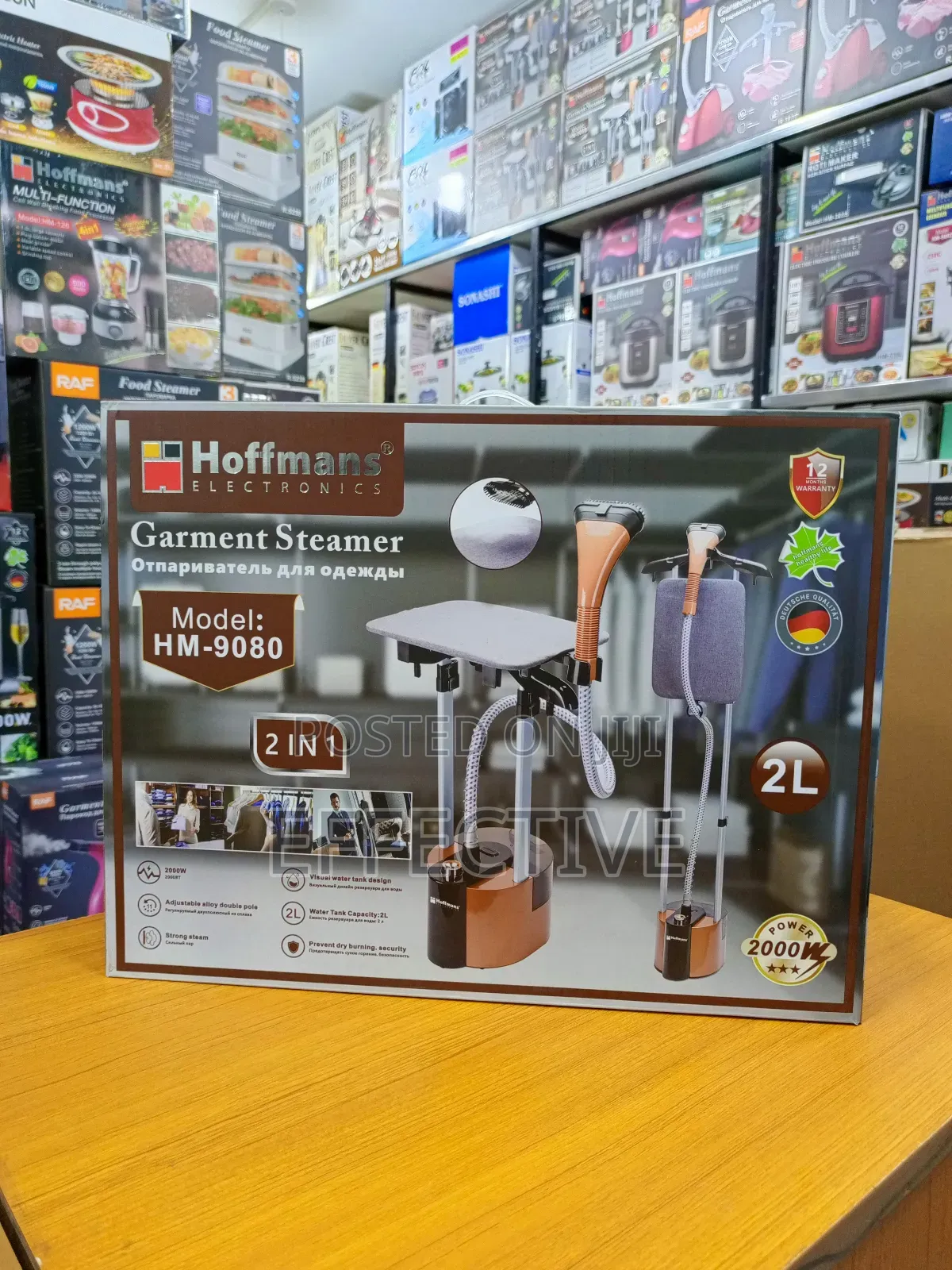 Garment Steamer.