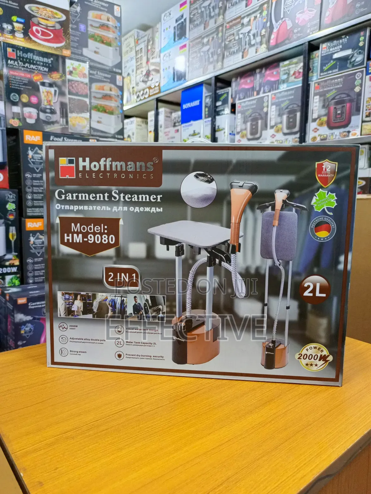Garment Steamer.