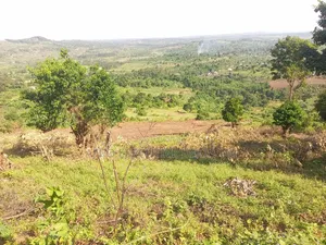 3.5 Square Miles At Luwero On Sale