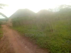 Landz an Plots for Sale