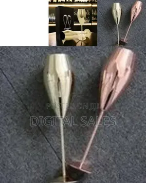Ironable Stainless Steel Champagne Glasses, Pack of 2 Champagne