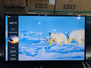 Lg 43 Uhd Smart Tv Thinq