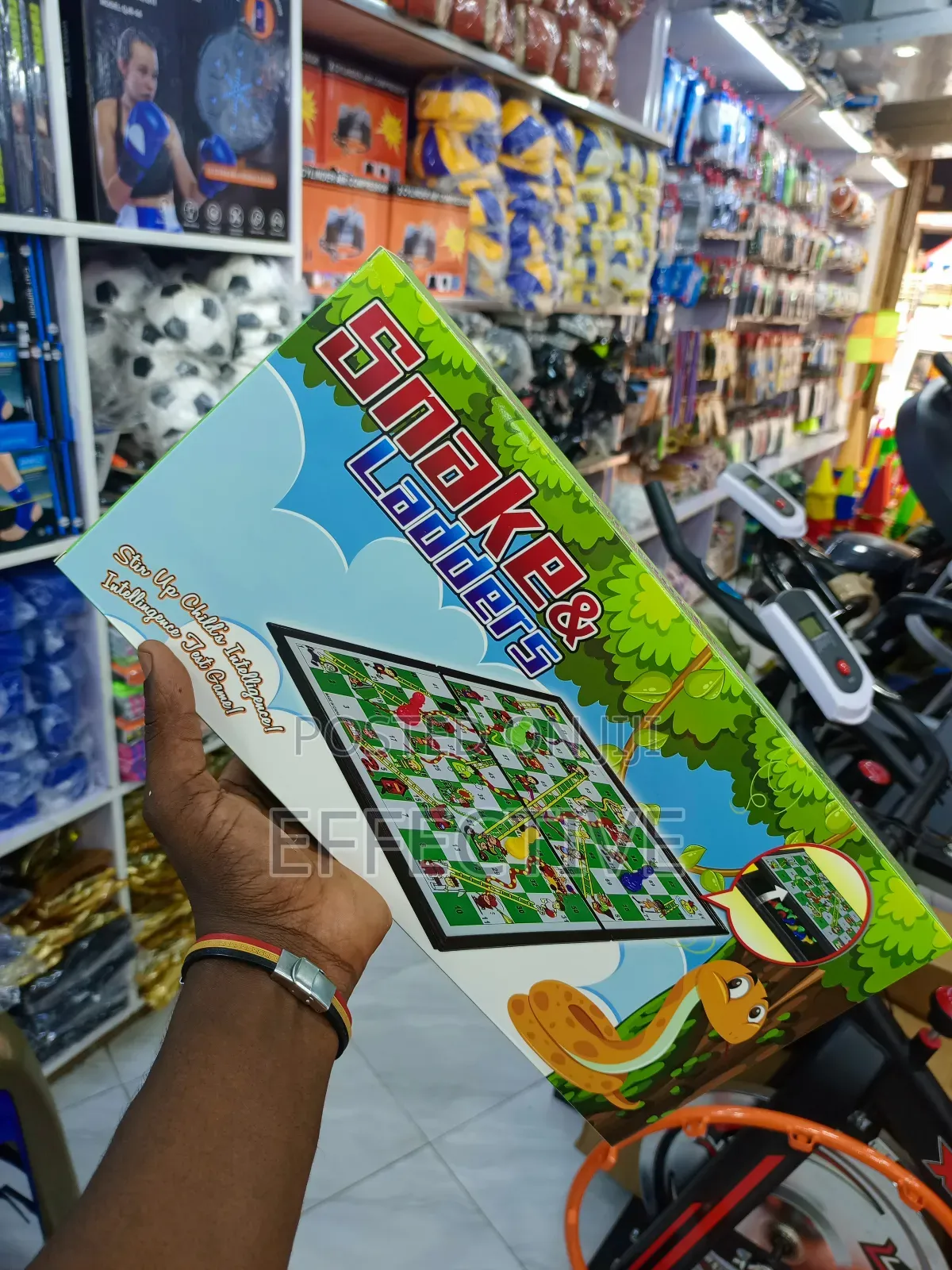 Magnetic Snakes And Ladders Board Game.