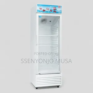 Florsa Display Chiller Business Fridge 330l - Single Door, Adjustable-