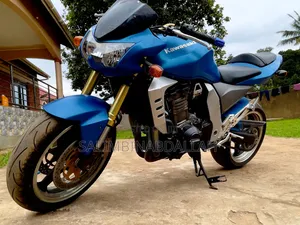 Kawasaki 2007 Blue
