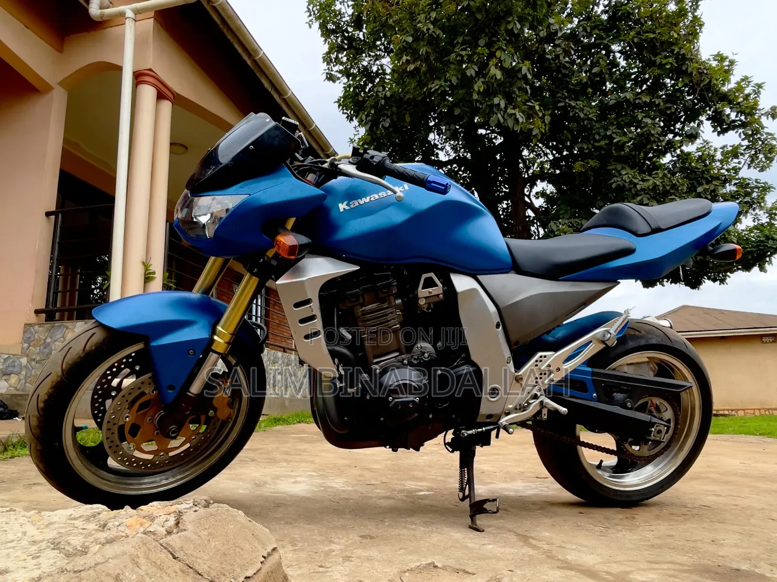 Kawasaki 2007 Blue