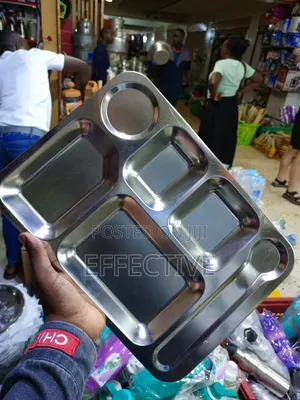 Multi-Compartment Stainless Steel Food Tray