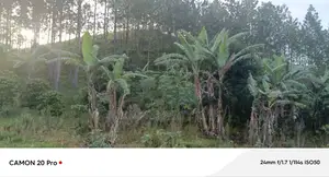8.5 Acres Of Freehold Titled Land Sale In Fort Portal.