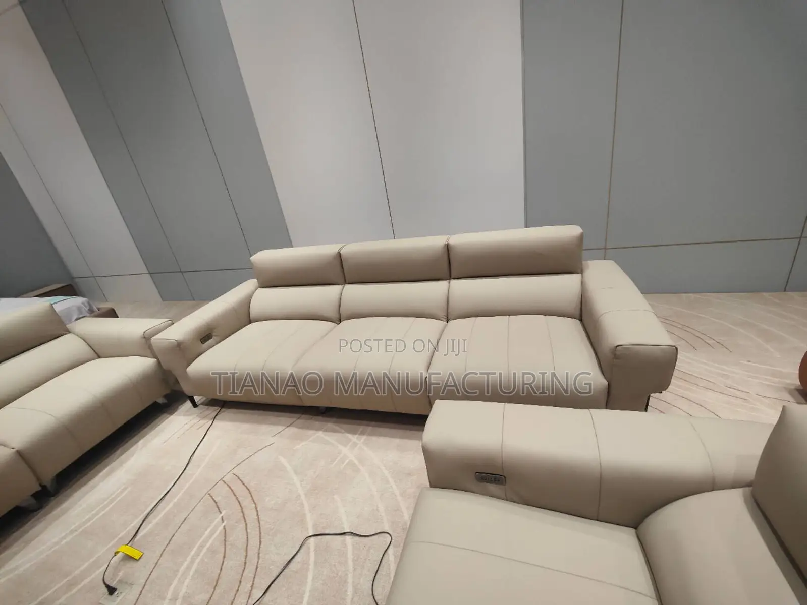 Living Room Sofa