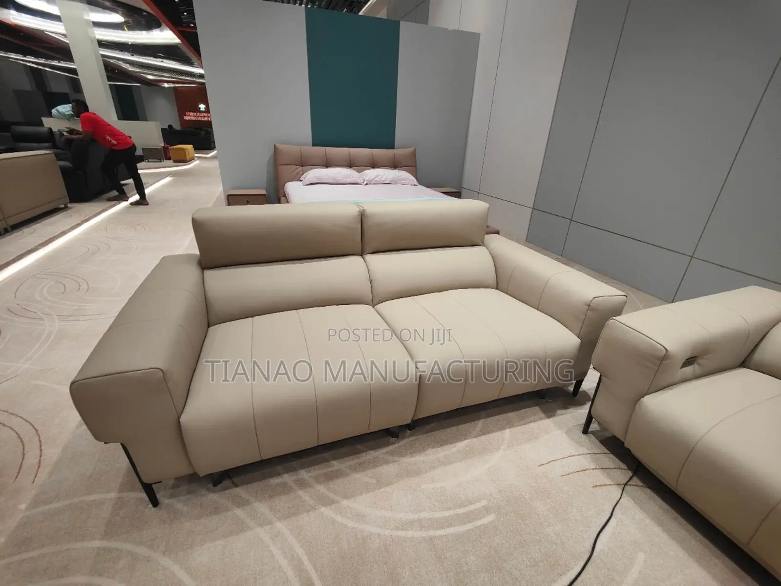 Living Room Sofa