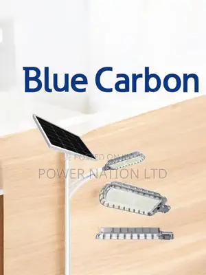 1.0 Blue Carbon King Light Solar Street Light Model5070ip65