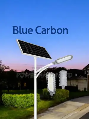 2.0 Blue Carbon King Light Solar Street Light Model4060ip65