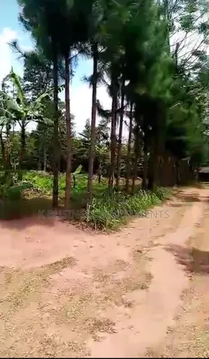 2 Acres at Kayanja Near Sugar Factory in Lugazi
