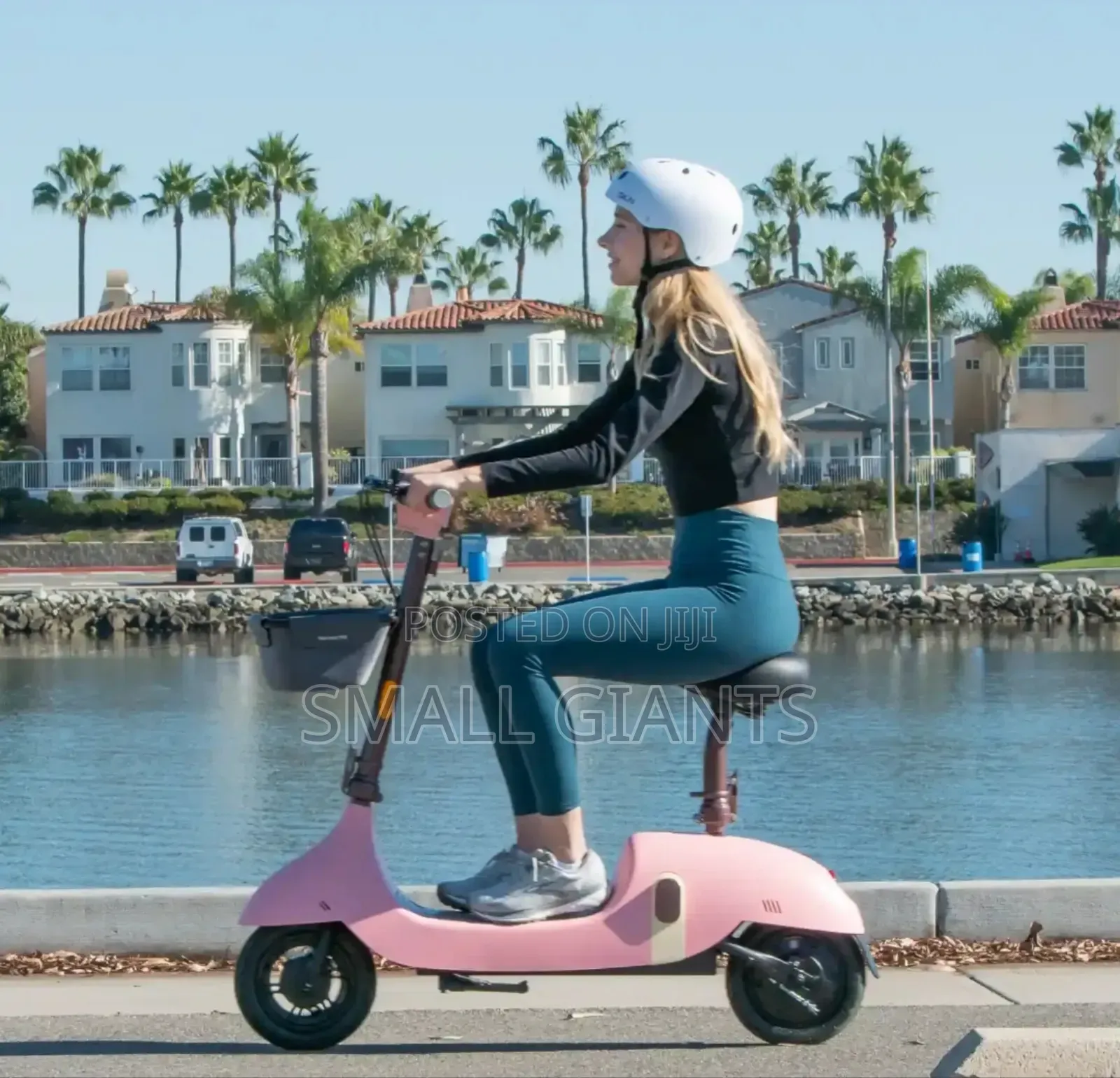 Ceetle Pro Electric Scooter