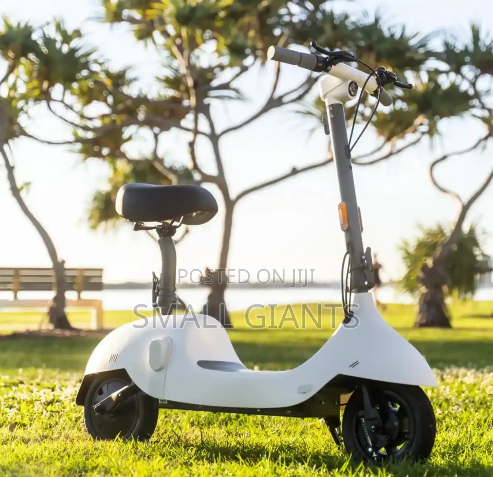 Ceetle Pro Electric Scooter