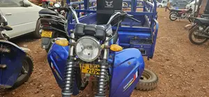 Tricycle Ihemas 2024 Blue