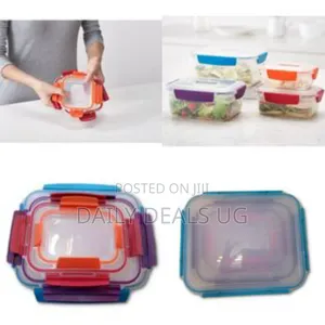 4 Piece Rainbow Color Food Storage Containers With Lids,Multi-Colours