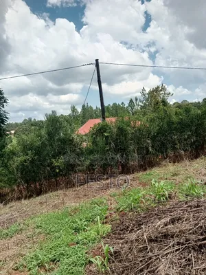 Land on Highway for Sale