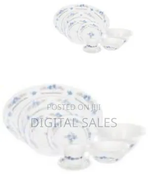 Arcopal 38pcs Dinnerware Set 1pc Oval Plate+ 6pcs Dinner Plate+6pc