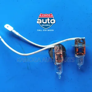 All Car Light Bulbs.