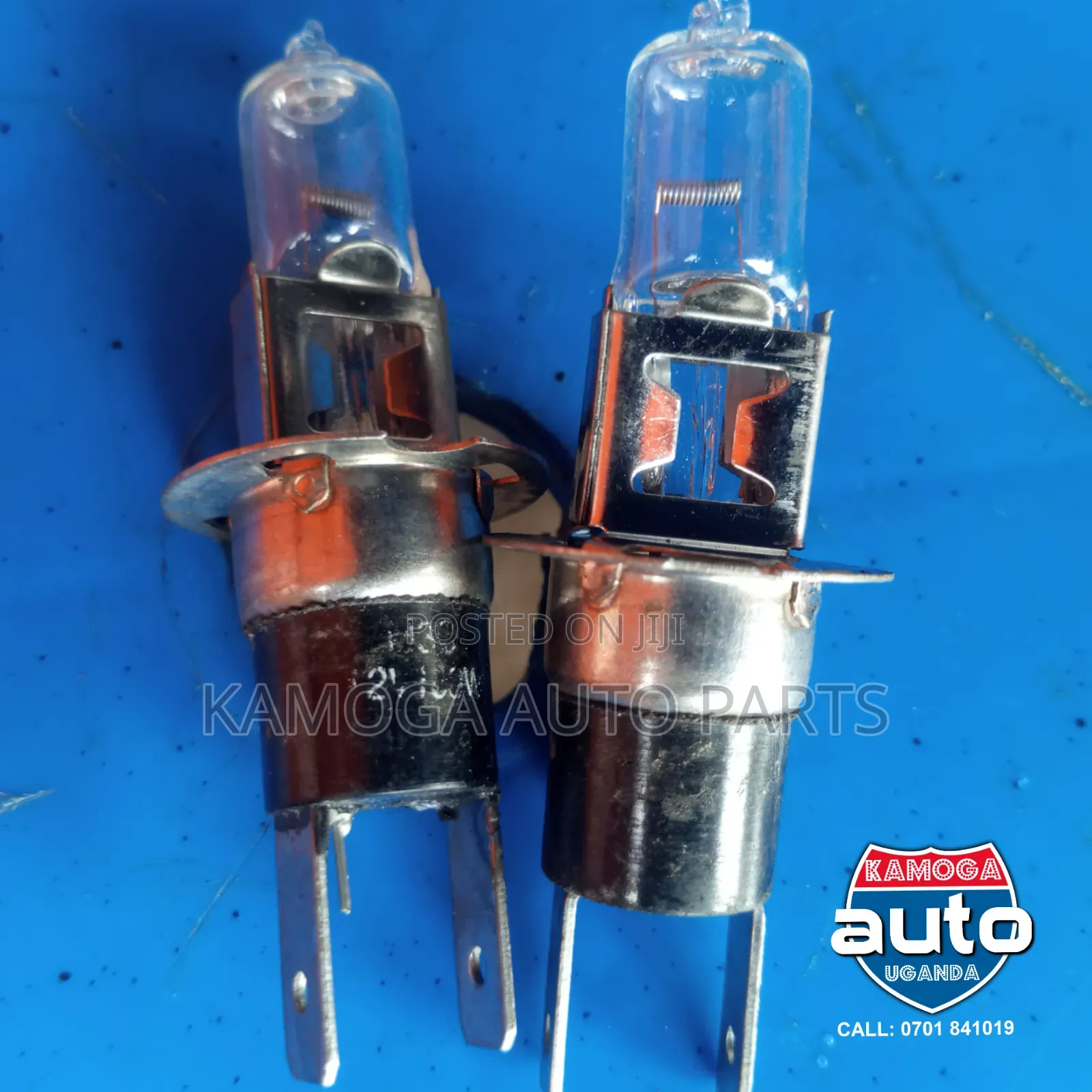All Car Light Bulbs.