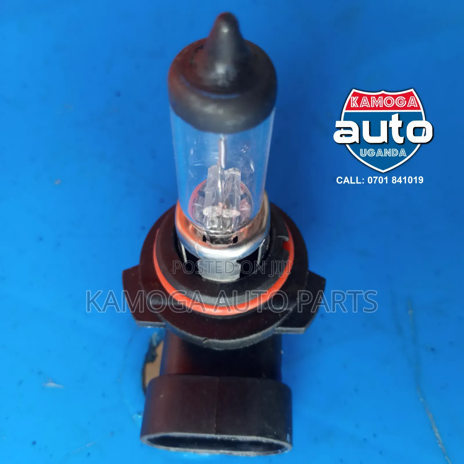 All Car Light Bulbs.