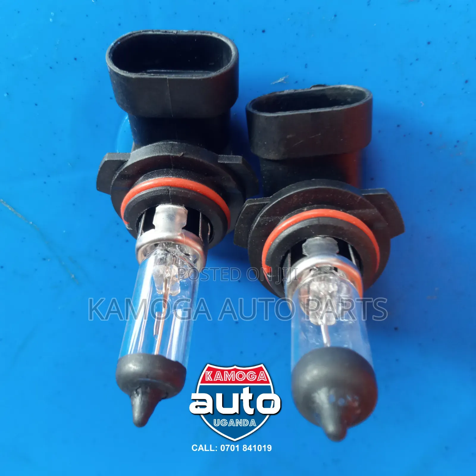 All Car Light Bulbs.