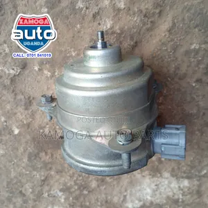 Radiator Fan Motor.