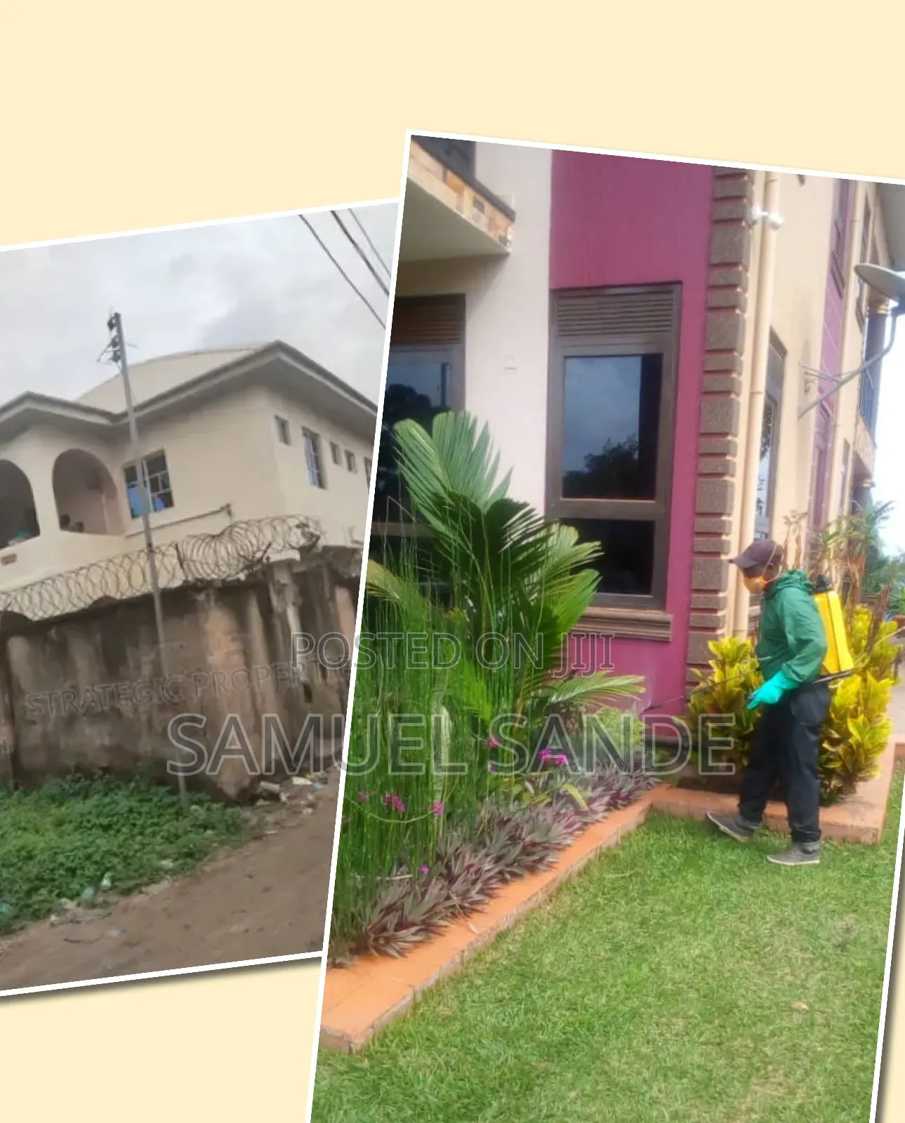 Outdoor Fumigation Services and Pest Control