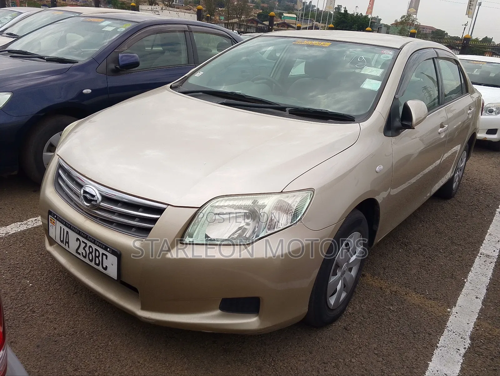 Toyota Axio 2011 Gold