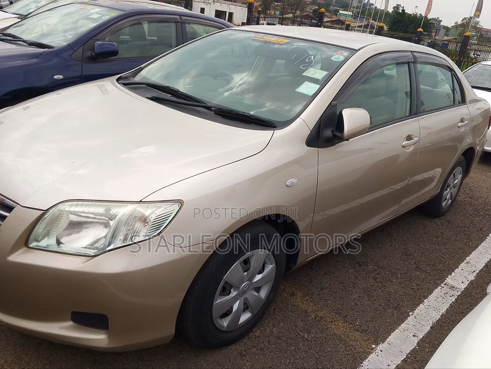 Toyota Axio 2011 Gold