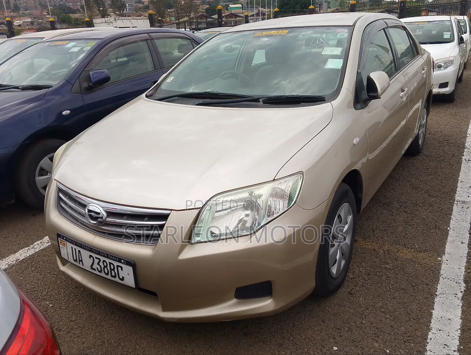 Toyota Axio 2011 Gold