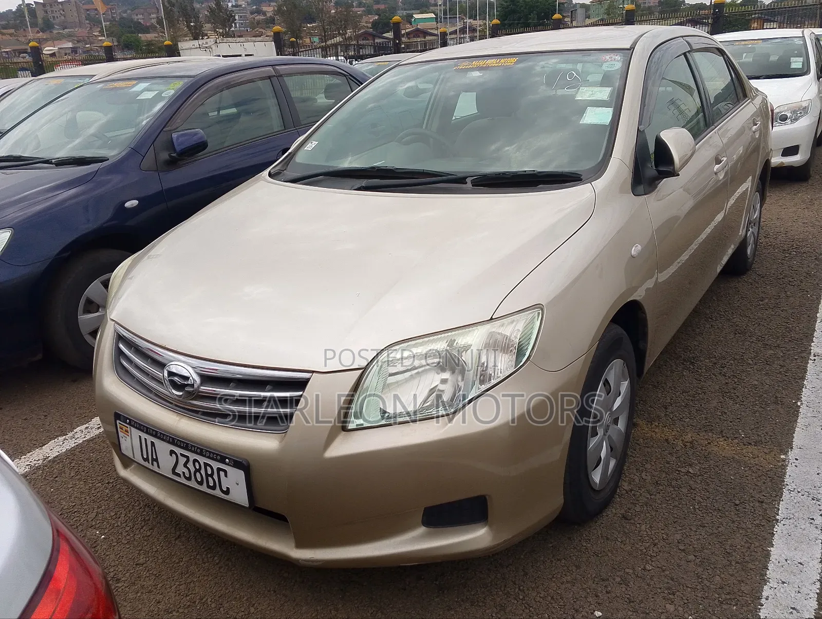 Toyota Axio 2011 Gold