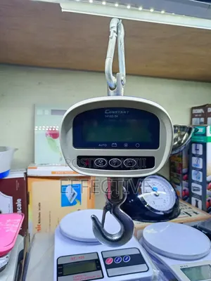 Digital Platform Scale