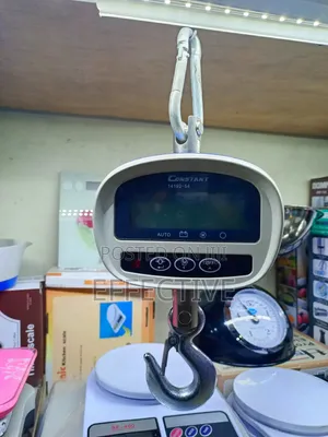 Digital Platform Scale