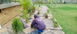 Expert Compound Designing Services Where Nature Meets Innovation.