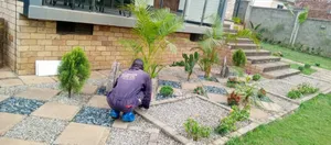 Expert Compound Designing Services Where Nature Meets Innovation.