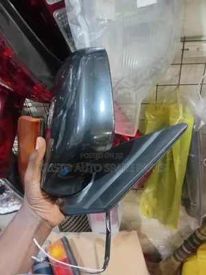 Side Mirrors Ipsum Old