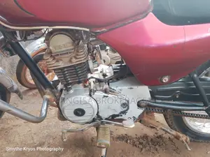 Bajaj Boxer 100 2019 Red