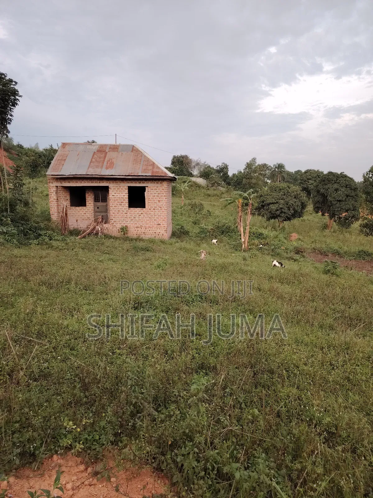 Plot With House On Sale