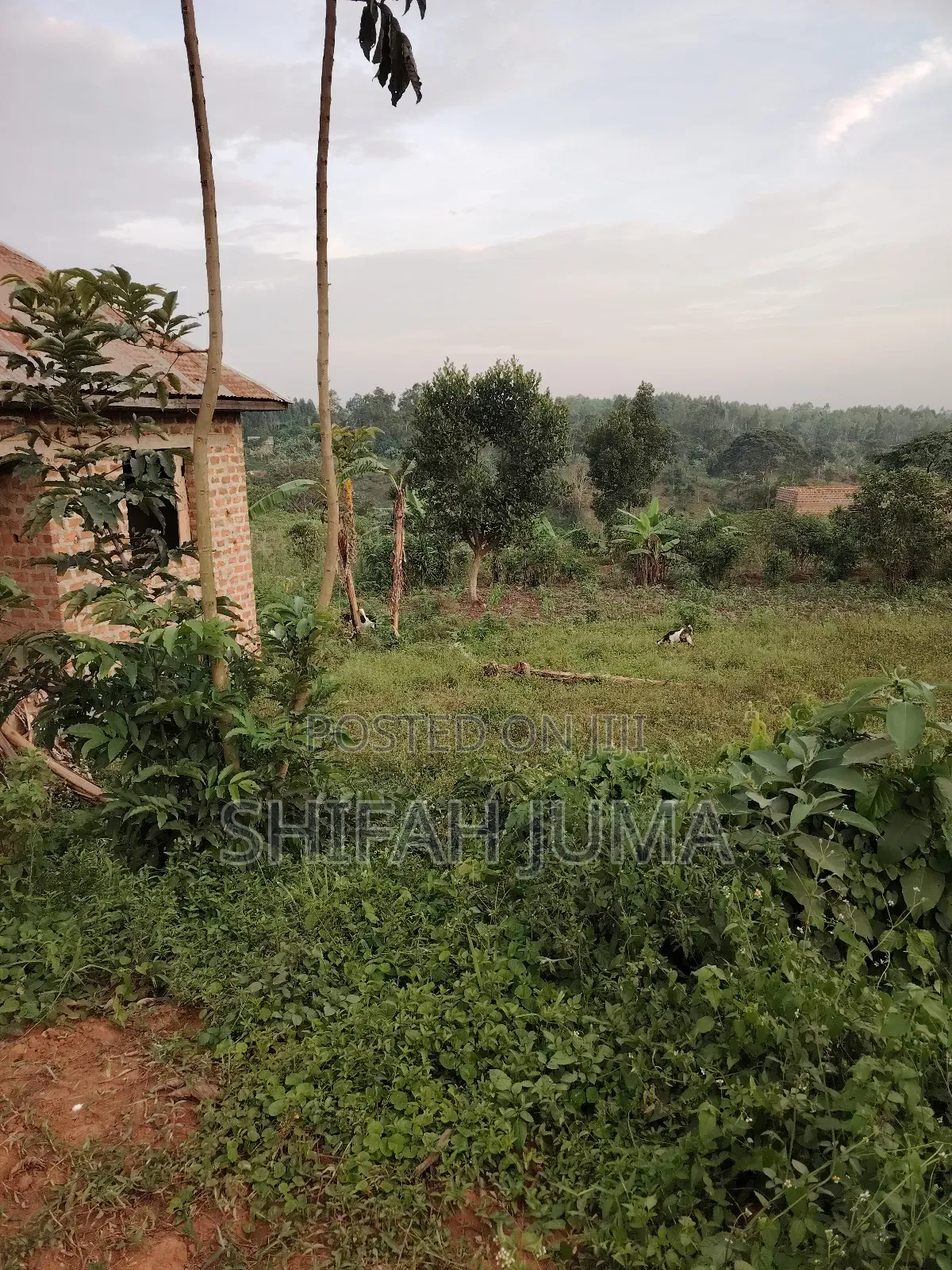 Plot With House On Sale