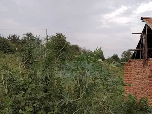 Plot With House On Sale