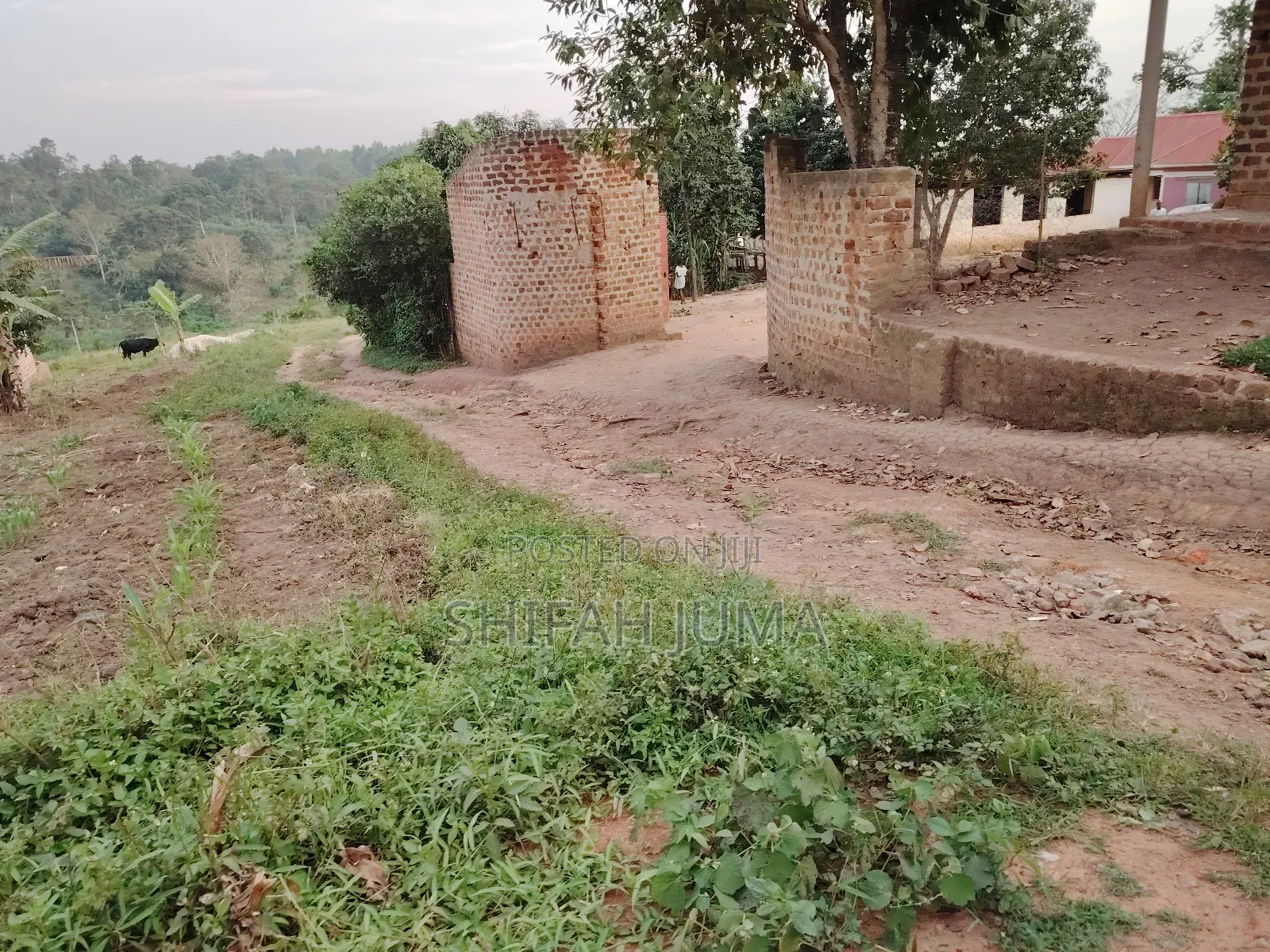 Plot With House On Sale