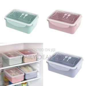Plastic Lunch Boxes Fridge Food Container Colorful Microwaveable Lunch