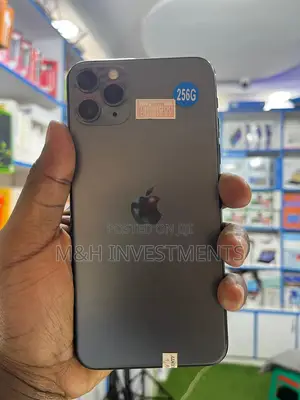 Apple iPhone 11 Pro Max 256 GB Black