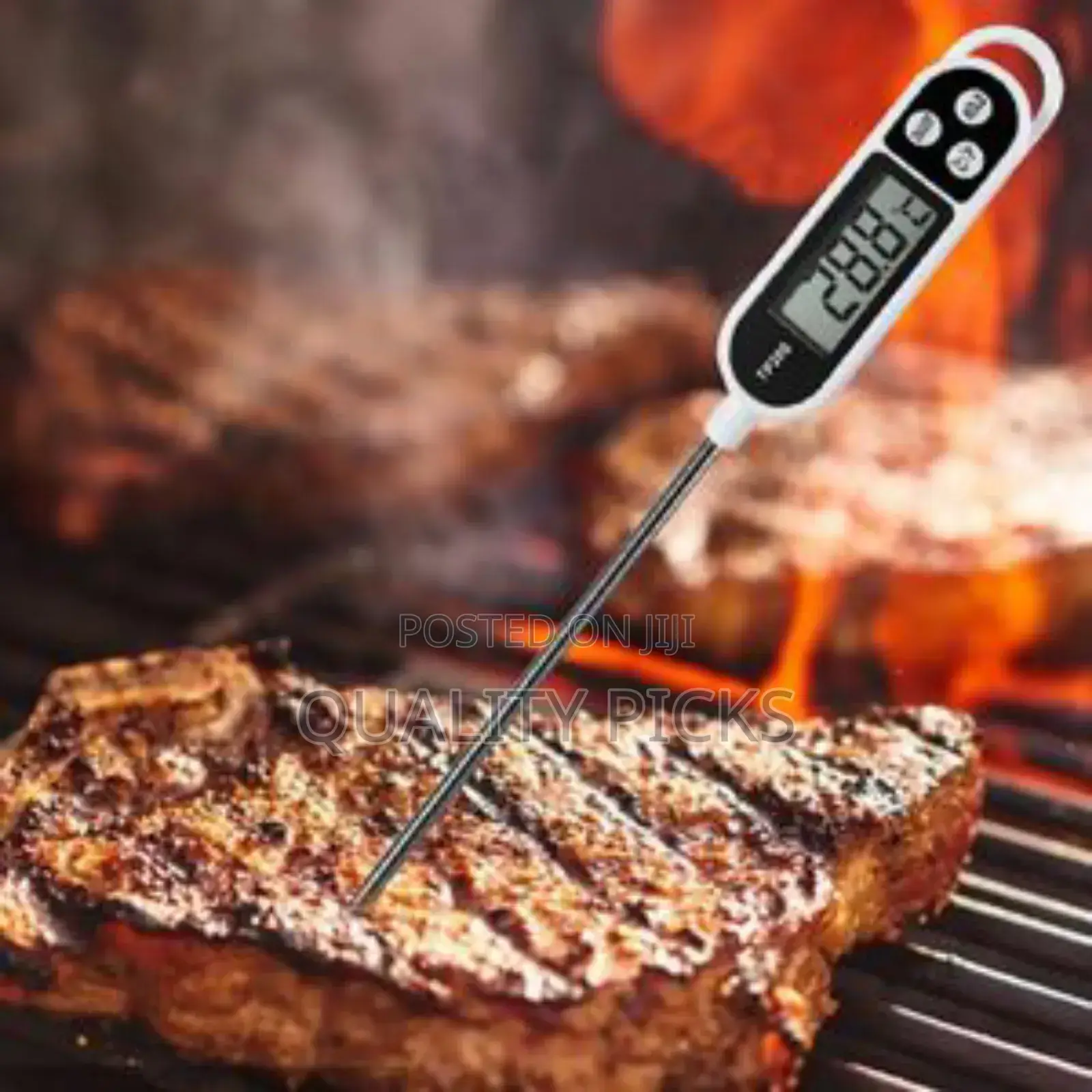 Digital Food Thermometer 