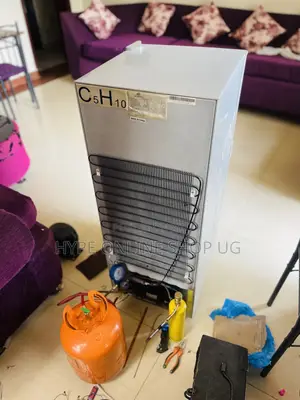 Professional Fridge Technician