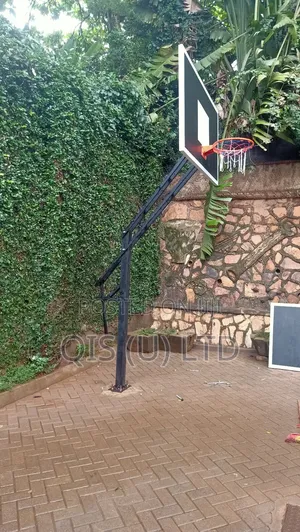 Adjustable Basketball Hoop - Standard