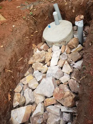 Biodigester Company You Can Trust